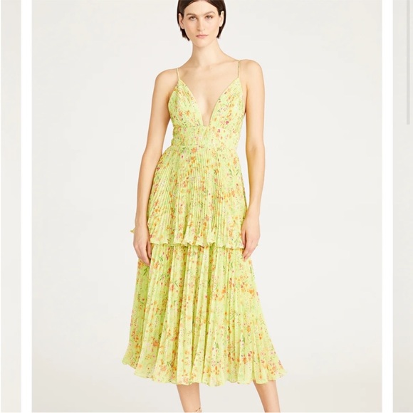 AMUR Dresses & Skirts - AMUR Women’s Nico Pleaded Floral Dress Size 0 Lime  New